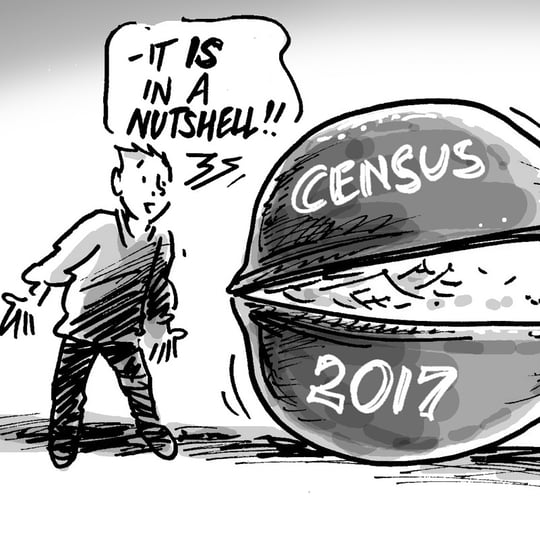 Census in a nutshell